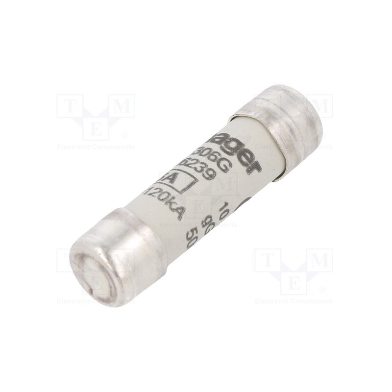 10 pcs : LF306G - Fuse: fuse, gG,time-lag, 6A, 500VAC, cylindrical,industrial