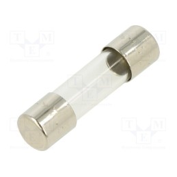 10 pcs : 7010.326 - Fuse: fuse, quick blow, 310mA, 220VAC, cylindrical,glass, 5x20mm