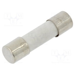 10 pcs : TCC-12A - Fuse: fuse, time-lag, 12A, 250VAC, ceramic, 5x20mm, brass, bulk
