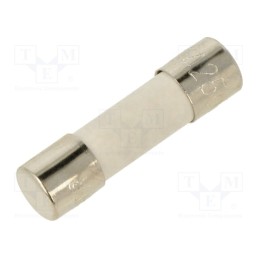 10 pcs : TCC-10A - Fuse: fuse, time-lag, 10A, 250VAC, ceramic, 5x20mm, brass, bulk