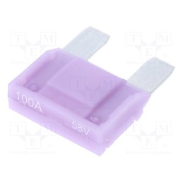 10 pcs : 343443-58V - Fuse: fuse, 100A, 58VDC, automotive, 29mm, tin alloy