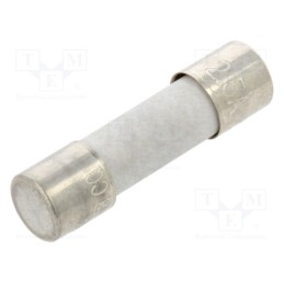 10 pcs : TCC-2.5A - Fuse: fuse, time-lag, 2.5A, 250VAC, ceramic, 5x20mm, brass, bulk