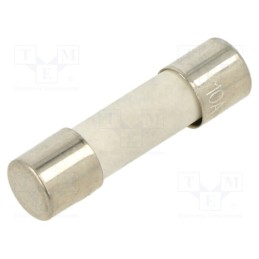 10 pcs : TCC-8A - Fuse: fuse, time-lag, 8A, 250VAC, ceramic, 5x20mm, brass, bulk