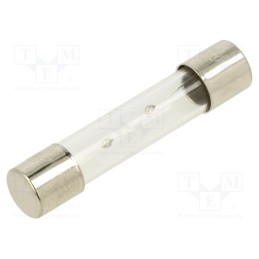 20 pcs : TSA-6A - Fuse: fuse, time-lag, 6A, 250VAC, glass, 6.3x32mm, brass, TSA