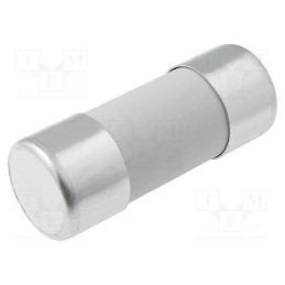 10 pcs : 422000 - Fuse: fuse, gG, 100A, 500VAC, ceramic,cylindrical,industrial