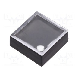 10 pcs : 834.900.013 - Button, rectangular, colourless, ABS, 18.3x18.3mm