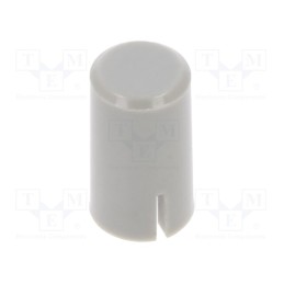 50 pcs : 1RLGR - Cap, light grey