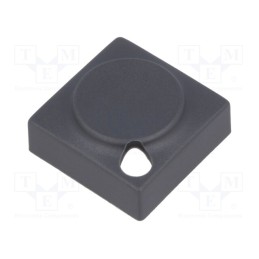10 pcs : 829.000.021 - Button, rectangular, grey, polyamide, 15.5x15.5mm