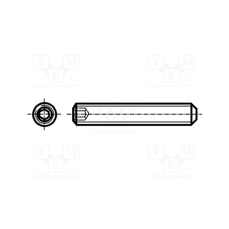 500 pcs : 1025295 - Screw, M3x6, 0.5, Head: without head, hex key, HEX 1,5mm, steel