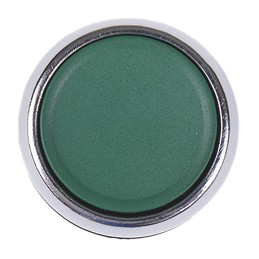 1 pcs - Allen Bradley 800F Series Green Momentary Push Button Head, 22mm Cutout, IP65