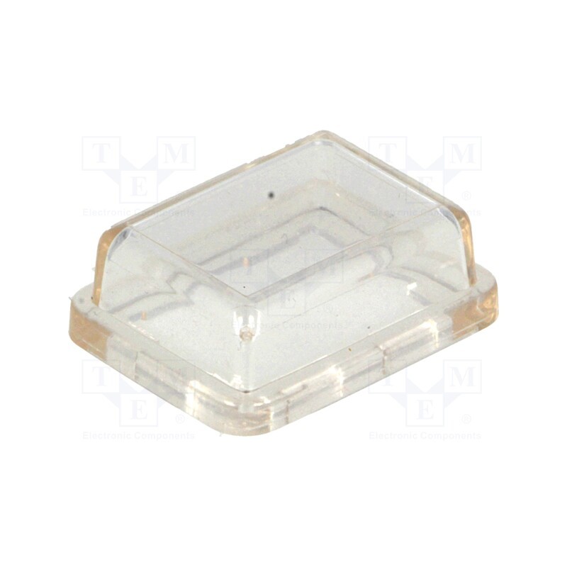 10 pcs : F0167LOAAA - Accessories: cover, Body: transparent, 15x21mm