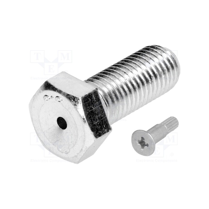 10 pcs : 098EM16040M -AS - Pin, M16, Plunger mat: steel, Plating: zinc, Thread len: 40mm