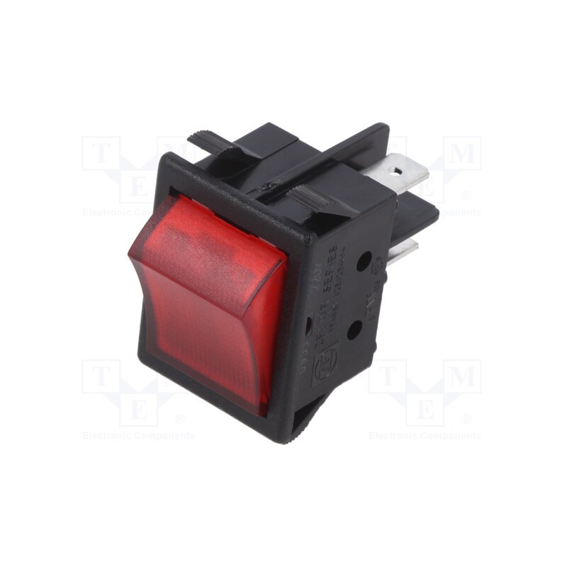 10 pcs : WRG32F2BBREN - ROCKER, DPST, Pos: 2, OFF-ON, 16A/250VAC, filament lamp, 250V, WR