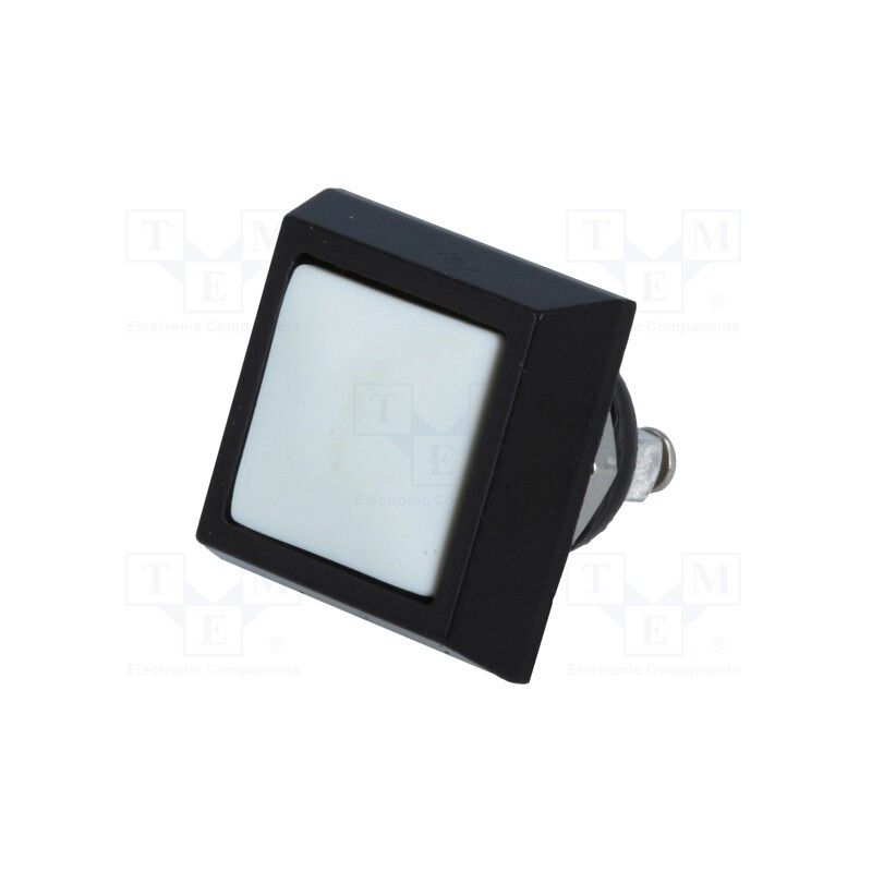 10 pcs : GQ12S-10/W/A - Switch: vandal resistant, Pos: 2, SPST-NO, 2A/36VDC, IP65, OFF-(ON)