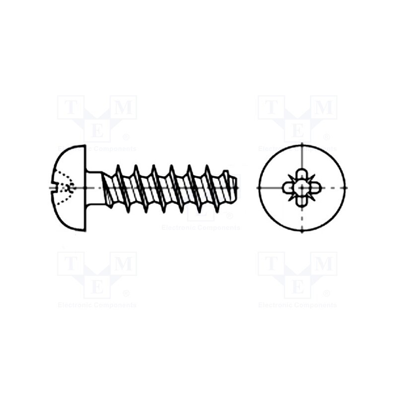 500 pcs : 3205381 - Screw, for plastic, 3x6, Head: cheese head, Pozidriv, PZ1, steel