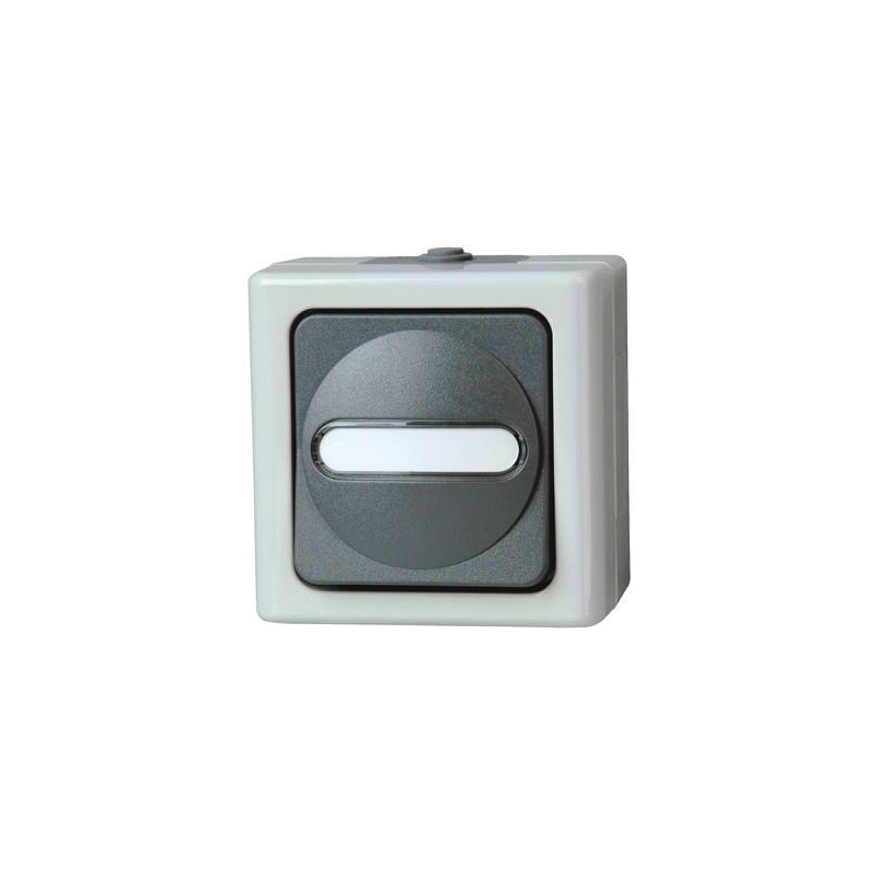 1 pcs - Kopp Grey Wet Room Switch