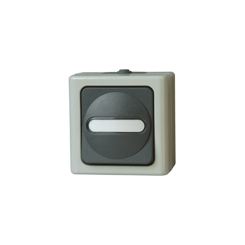 1 pcs - Kopp Grey Wet Room Switch
