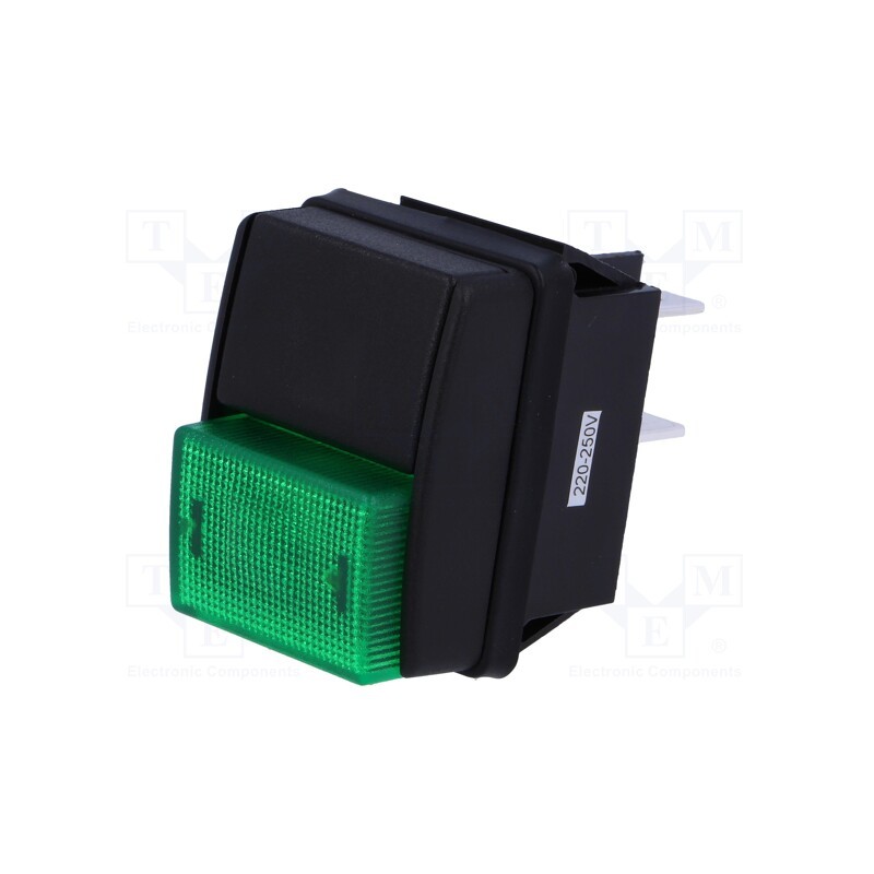10 pcs : R13-537B-01-B/G - Switch: push-button, Pos: 2, DPST, 10A/250VAC, OFF-ON, green