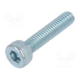 100 pcs : 1011928 - Screw, M2.5x12, 0.45, Head: cheese head, hex key, HEX 2mm, steel