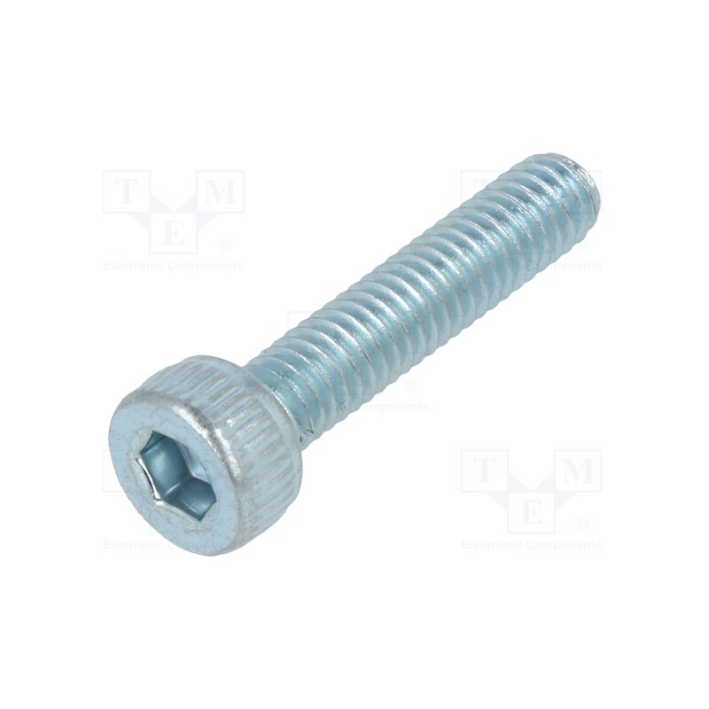 100 pcs : 1011928 - Screw, M2.5x12, 0.45, Head: cheese head, hex key, HEX 2mm, steel