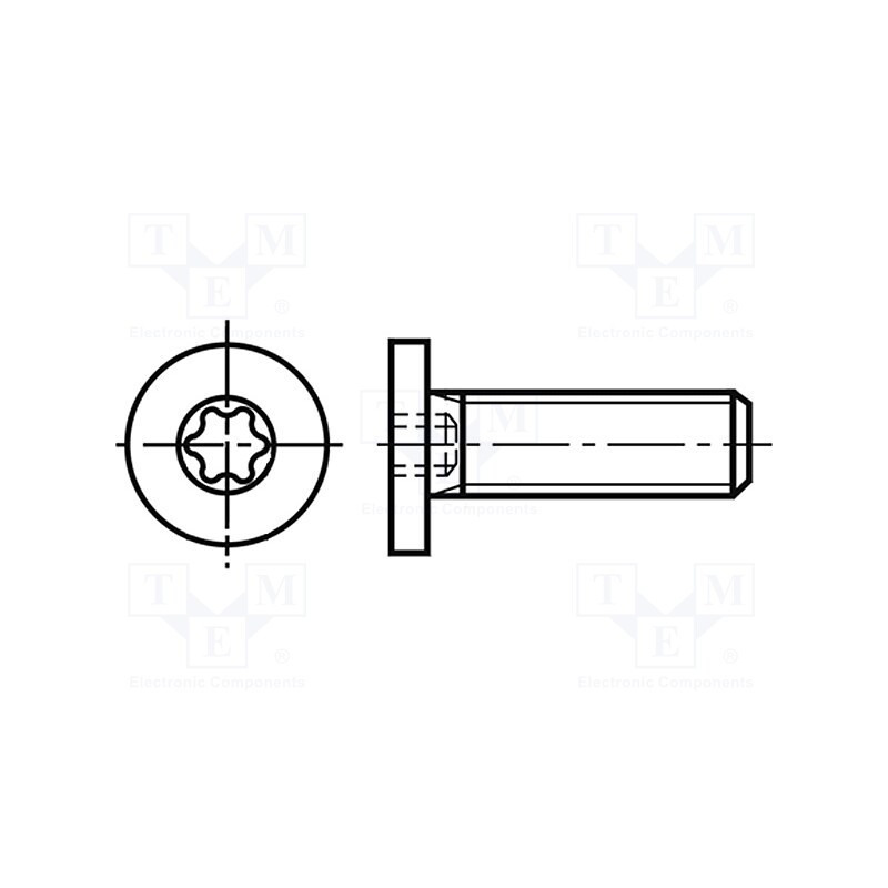 100 pcs : 3060005 - Screw, M4x6, 0.7, Head: cheese head, Torx®, TX10, steel, zinc