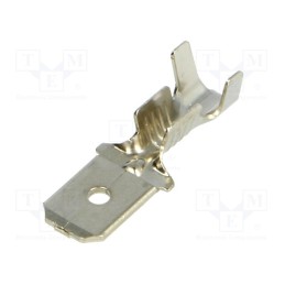 50 pcs : BM 01281 - Terminal: flat, 6.3mm, 0.8mm, male, 1÷2.5mm2, crimped, for cable