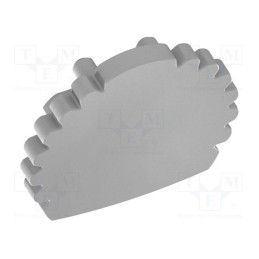 10 pcg : PA-ZASGLAXDR-00 - Cap for LED profiles, silver, 10pcs, GTV-GLAXDR-AL-2M