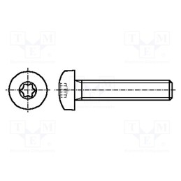 100 pcs : 3183869 - Screw, M6x10, 1, Head: button, Torx®, TX30, acid resistant steel A4