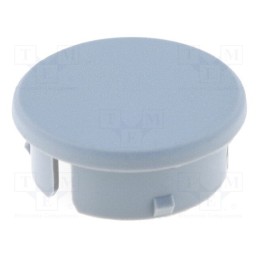 20 pcs : 3021101 - Cap, polyamide, grey, -20÷70°C, G21