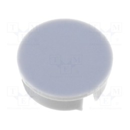 20 pcs : 4129.064 - Cap, grey, Mounting: push-in, plastic, G355.41