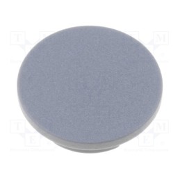 20 pcs : 4309.0041 - Cap, plastic, grey, push-in, G4310.6131