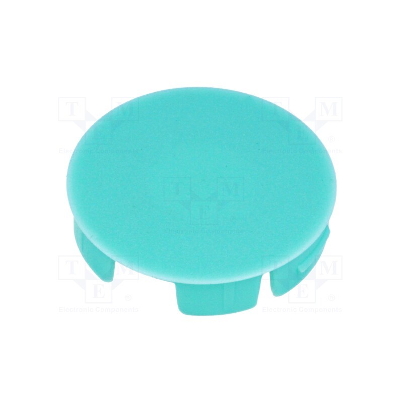 10 pcs : A3231005 - Cap, polyamide, aquamarine, push-in, A3031,A3131