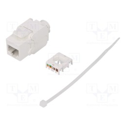 10 pcs : NK4004 - Socket, RJ45, PIN: 8, Cat: 6a, Keystone,unshielded, Layout: 8p8c