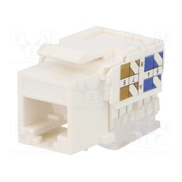 10 pcs : NK4006 - Socket, RJ45, PIN: 8, Cat: 5e, Keystone,unshielded, Layout: 8p8c