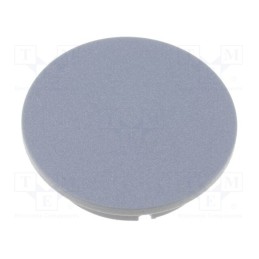 10 pcs : 4312.0041 - Cap, plastic, grey, push-in, G4312.6131