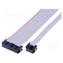 10 pcs : FC14300-0 - Ribbon cable with IDC connectors, Cable ph: 1.27mm, 0.3m