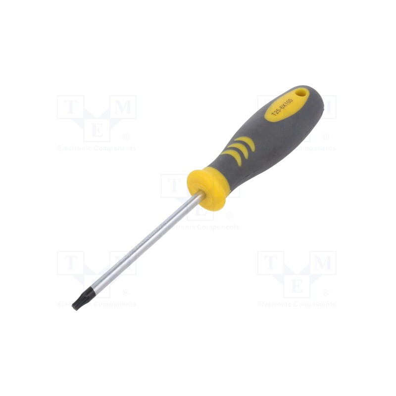 10 pcs : PGT017 - Screwdriver, Torx®, TX25, 100mm
