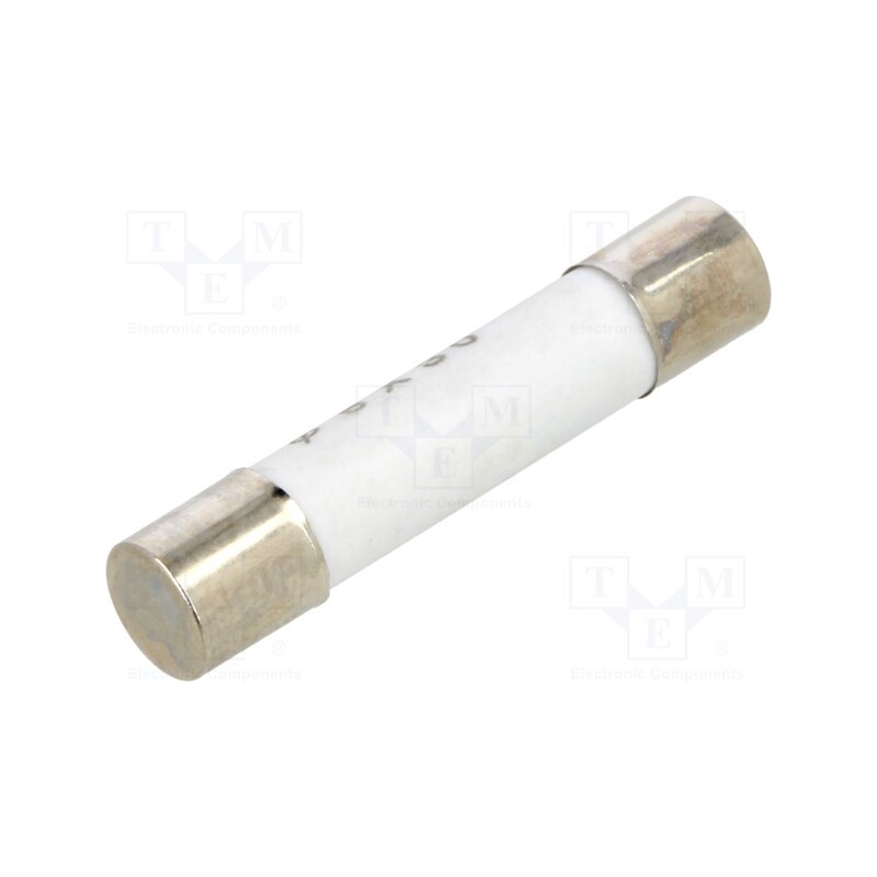 10 pcs : - Fuse, MS301,MS306, 10A, 500V, Ø6.3x32mm