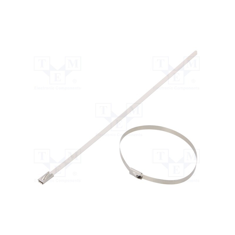 200 pcs : BMS2045 - Cable tie, L: 200mm, W: 4.6mm, stainless steel AISI 304, 890N