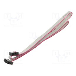 10 pcs : DS1052-01-062B2MA206001 - Ribbon cable with IDC connectors, Cable ph: 1mm, 0.6m, 6x28AWG