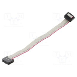 10 pcs : DS1052-01-102B2MA201501 - Ribbon cable with IDC connectors, Cable ph: 1mm, 0.15m, 10x28AWG