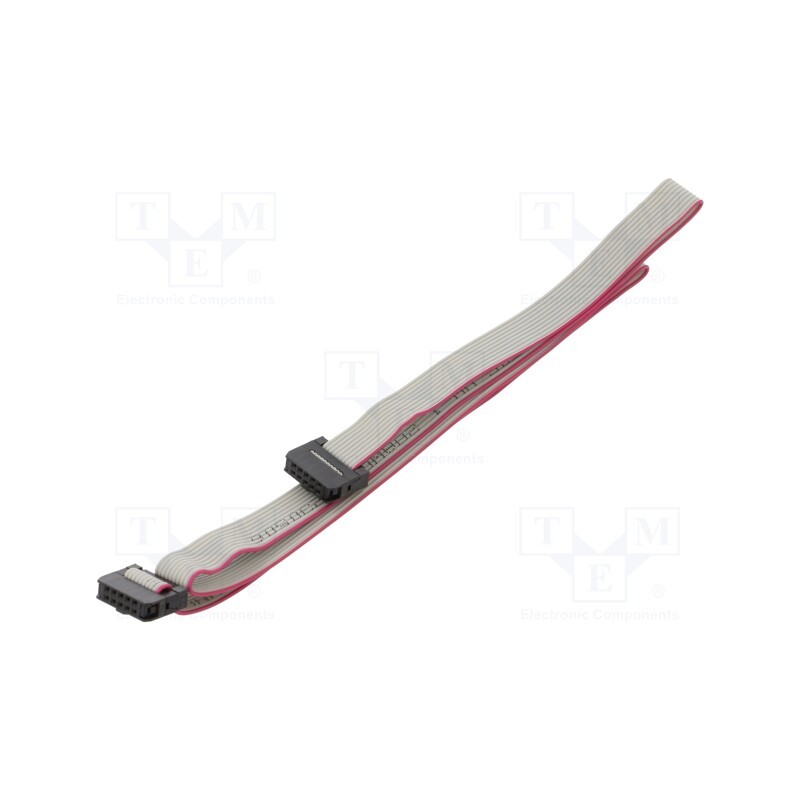 10 pcs : DS1052-01-102B2MA206001 - Ribbon cable with IDC connectors, Cable ph: 1mm, 0.6m, 10x28AWG
