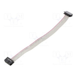 10 pcs : DS1052-01-102B2NA201501 - Ribbon cable with IDC connectors, Cable ph: 1mm, 0.15m, 10x28AWG