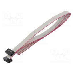 10 pcs : DS1052-01-102B2NA206001 - Ribbon cable with IDC connectors, Cable ph: 1mm, 0.6m, 10x28AWG