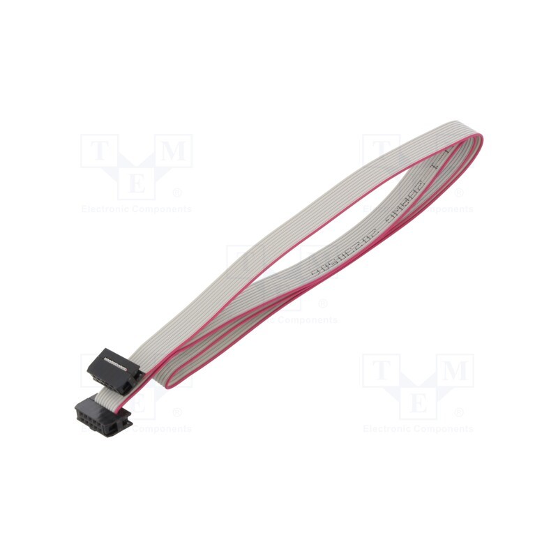 10 pcs : DS1052-01-102B2NA206001 - Ribbon cable with IDC connectors, Cable ph: 1mm, 0.6m, 10x28AWG