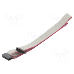 10 pcs : DS1052-01-122B2NA206001 - Ribbon cable with IDC connectors, Cable ph: 1mm, 0.6m, 12x28AWG
