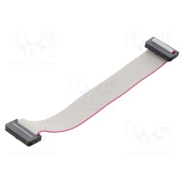 10 pcs : DS1052-01-202B2MA201501 - Ribbon cable with IDC connectors, Cable ph: 1mm, 0.15m, 20x28AWG