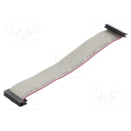 10 pcs : DS1052-01-202B2NA201501 - Ribbon cable with IDC connectors, Cable ph: 1mm, 0.15m, 20x28AWG