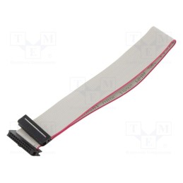 10 pcs : DS1052-01-242B2NA203001 - Ribbon cable with IDC connectors, Cable ph: 1mm, 0.3m, 24x28AWG
