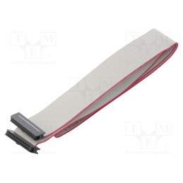 10 pcs : DS1052-01-242B2NA206001 - Ribbon cable with IDC connectors, Cable ph: 1mm, 0.6m, 24x28AWG